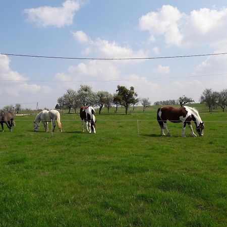 Gite La Besse, Claudon ภายนอก รูปภาพ
