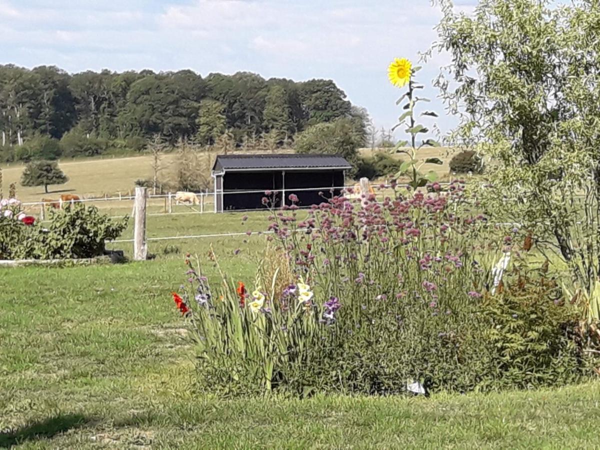 Gite La Besse, Claudon ภายนอก รูปภาพ