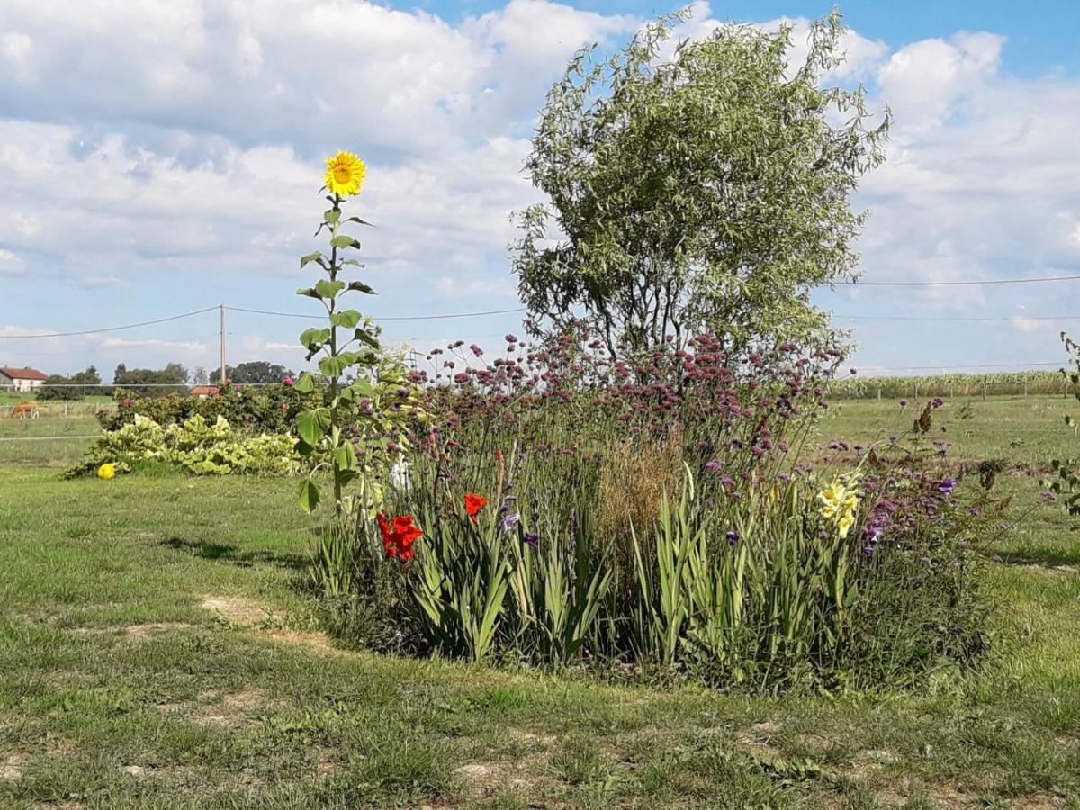 Gite La Besse, Claudon ภายนอก รูปภาพ